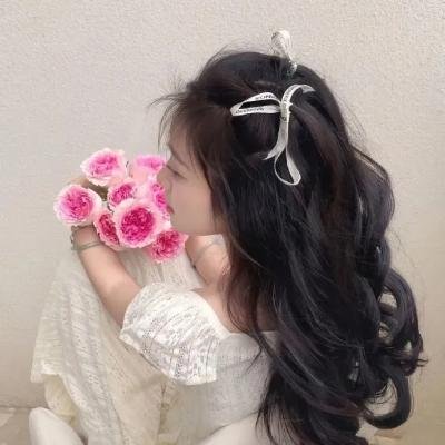 叶问外传:张天志粤语